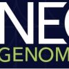 NEO.jpg